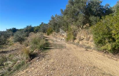 MANAVGAT HACIİSALİ SATILIK TEK TAPU TARLA