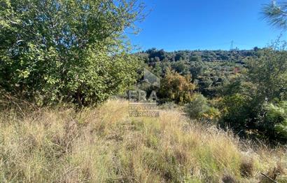 MANAVGAT HACIİSALİ SATILIK TEK TAPU TARLA