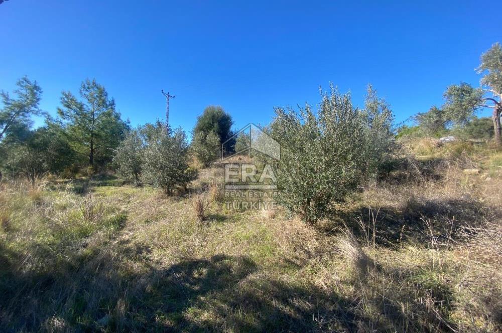 MANAVGAT HACIİSALİ SATILIK TEK TAPU TARLA