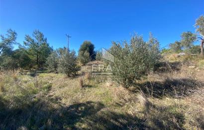 MANAVGAT HACIİSALİ SATILIK TEK TAPU TARLA