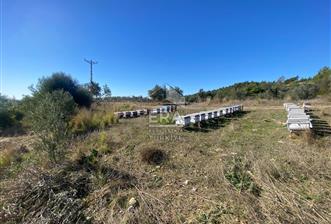 MANAVGAT HACIİSALİ SATILIK TEK TAPU TARLA - 2 - 14306