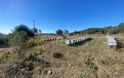 MANAVGAT HACIİSALİ SATILIK TEK TAPU TARLA