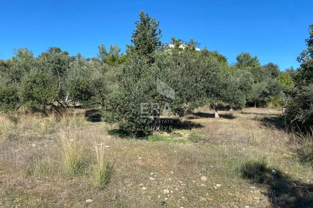 MANAVGAT HACIİSALİ SATILIK TEK TAPU TARLA