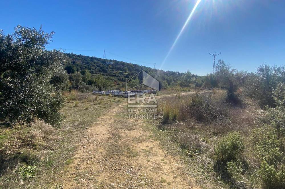 MANAVGAT HACIİSALİ SATILIK TEK TAPU TARLA