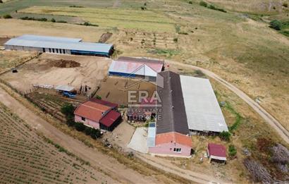 Küçükbaş Büyükbaş ve Tarıma Uygun Çiftlik