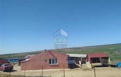 Küçükbaş Büyükbaş ve Tarıma Uygun Çiftlik