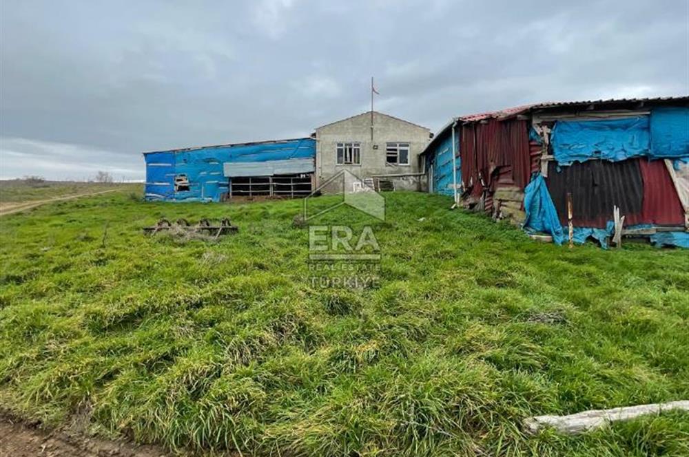 Küçükbaş Büyükbaş ve Tarıma Uygun Çiftlik