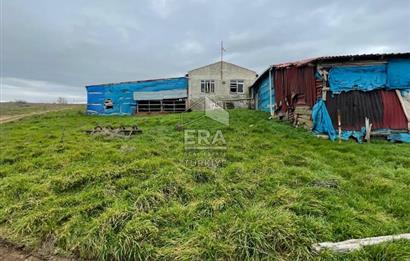 Küçükbaş Büyükbaş ve Tarıma Uygun Çiftlik