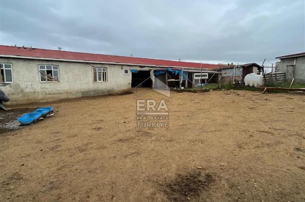 Küçükbaş Büyükbaş ve Tarıma Uygun Çiftlik