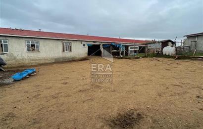 Küçükbaş Büyükbaş ve Tarıma Uygun Çiftlik