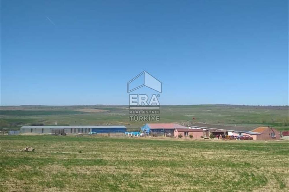 Küçükbaş Büyükbaş ve Tarıma Uygun Çiftlik