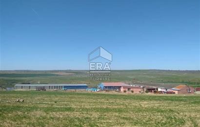 Küçükbaş Büyükbaş ve Tarıma Uygun Çiftlik