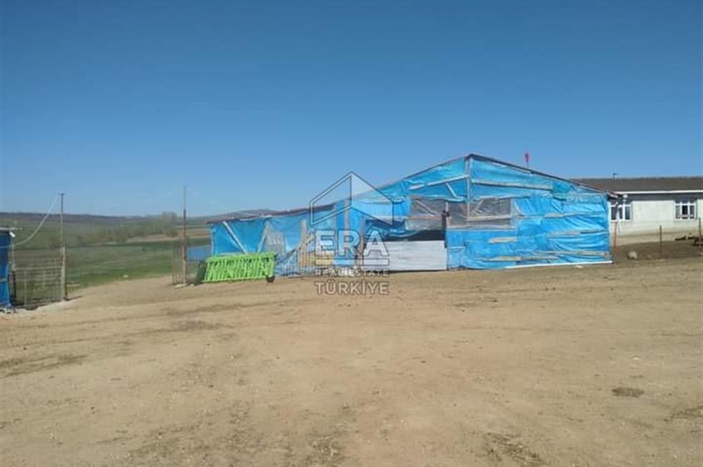 Küçükbaş Büyükbaş ve Tarıma Uygun Çiftlik