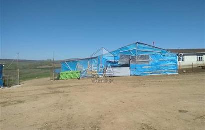 Küçükbaş Büyükbaş ve Tarıma Uygun Çiftlik