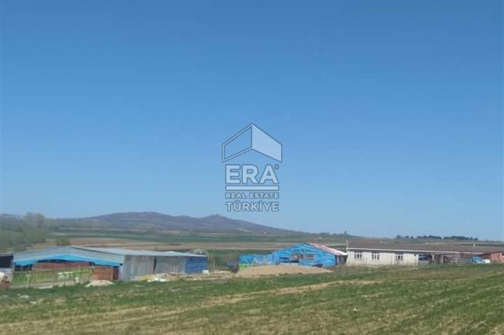 Küçükbaş Büyükbaş ve Tarıma Uygun Çiftlik