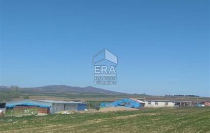 Küçükbaş Büyükbaş ve Tarıma Uygun Çiftlik