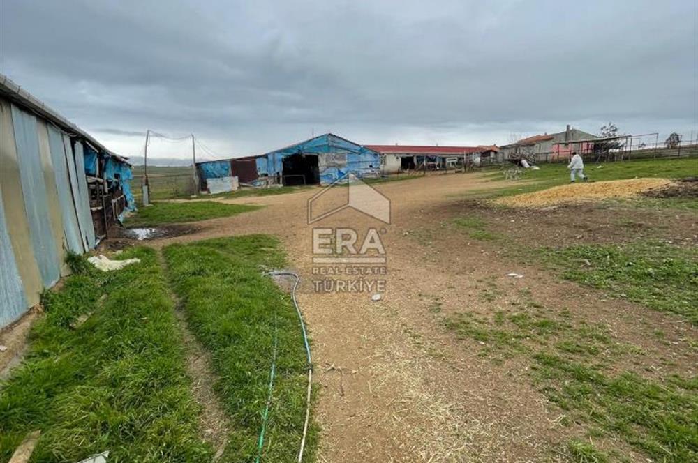 Küçükbaş Büyükbaş ve Tarıma Uygun Çiftlik