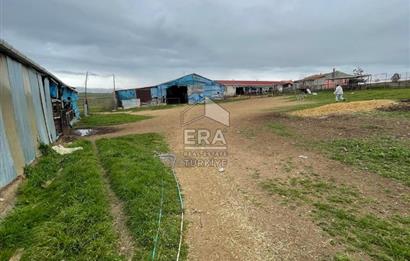 Küçükbaş Büyükbaş ve Tarıma Uygun Çiftlik