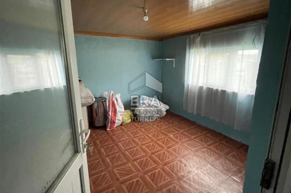 Küçükbaş Büyükbaş ve Tarıma Uygun Çiftlik