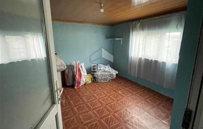 Küçükbaş Büyükbaş ve Tarıma Uygun Çiftlik