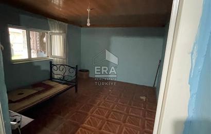 Küçükbaş Büyükbaş ve Tarıma Uygun Çiftlik