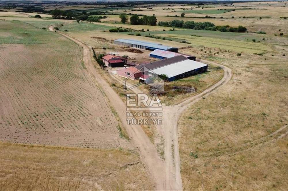 Küçükbaş Büyükbaş ve Tarıma Uygun Çiftlik