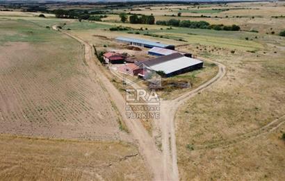 Küçükbaş Büyükbaş ve Tarıma Uygun Çiftlik