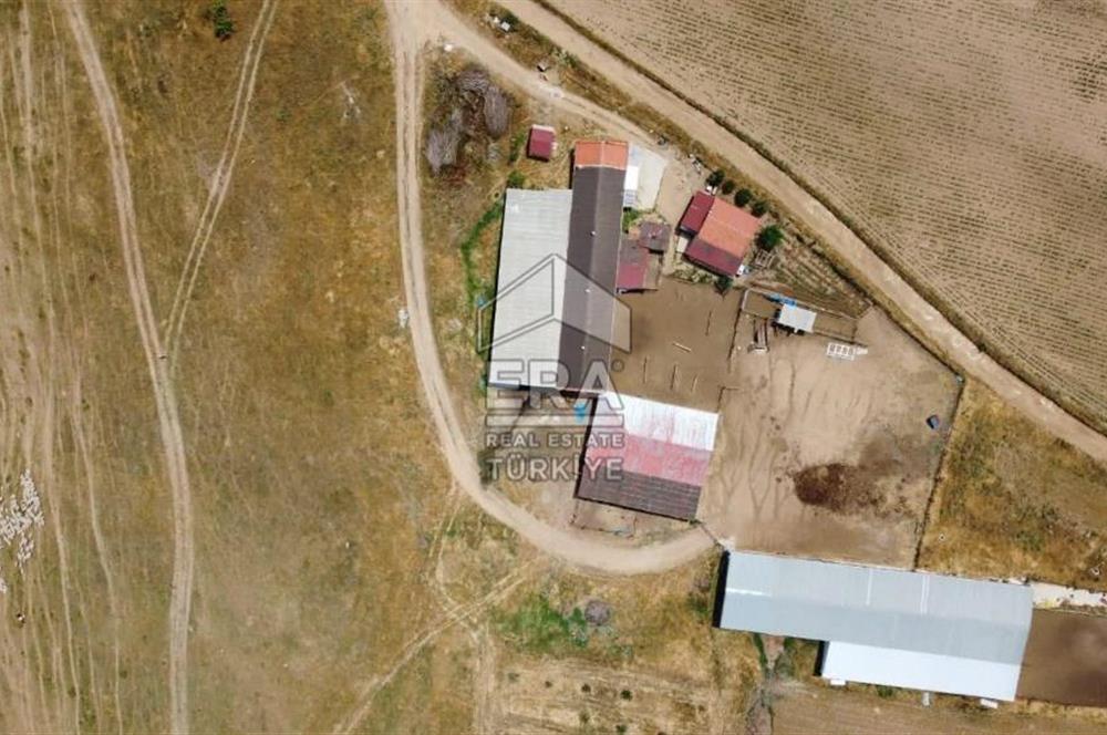 Küçükbaş Büyükbaş ve Tarıma Uygun Çiftlik