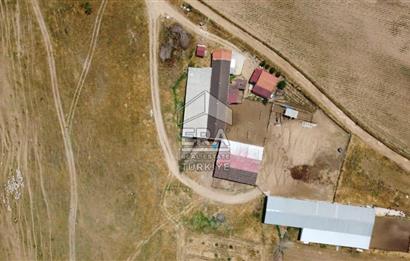 Küçükbaş Büyükbaş ve Tarıma Uygun Çiftlik