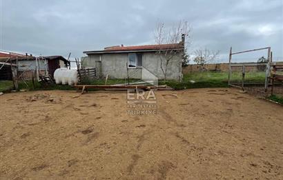 Küçükbaş Büyükbaş ve Tarıma Uygun Çiftlik