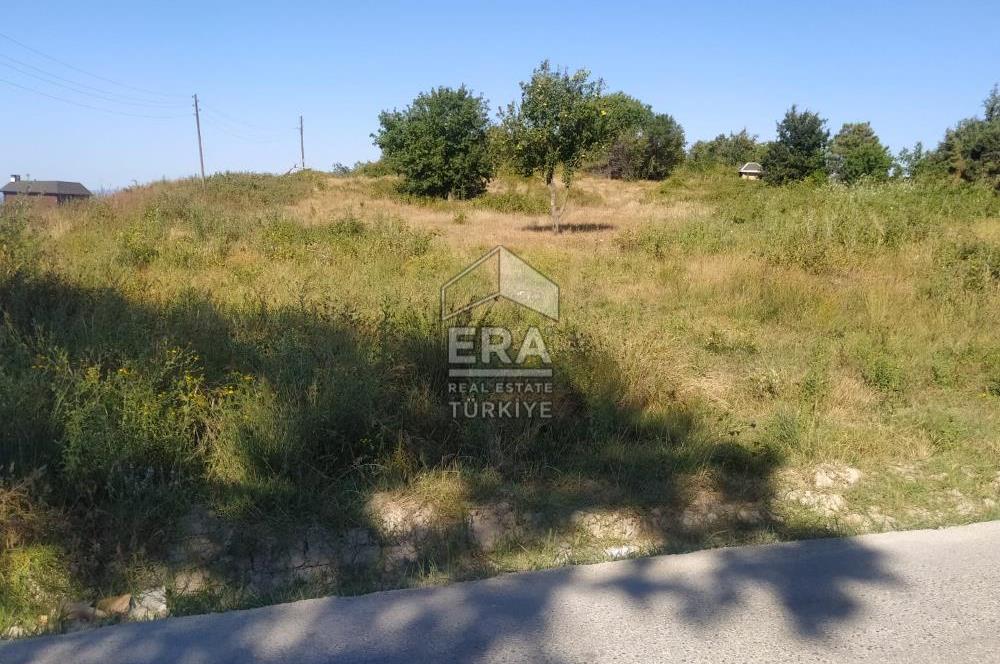 sapanca hacımercan turizm imarlı arsa