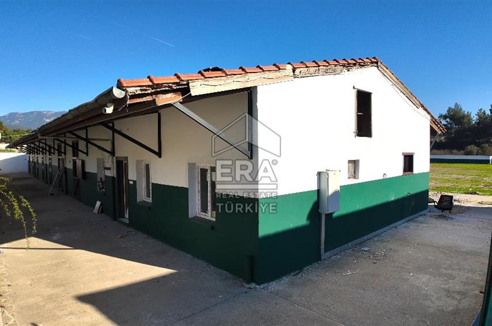 13 DÖNÜM ARAZİ - 500 M2 VİLLA - 17 AT BOX - 250 KW ENERJİ