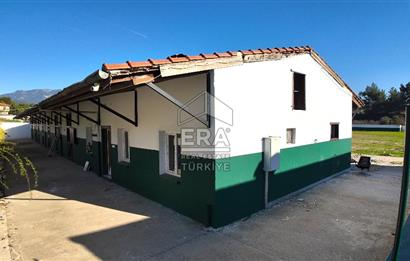 13 DÖNÜM ARAZİ - 500 M2 VİLLA - 17 AT BOX - 250 KW ENERJİ