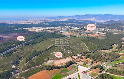 13 DÖNÜM ARAZİ - 500 M2 VİLLA - 17 AT BOX - 250 KW ENERJİ