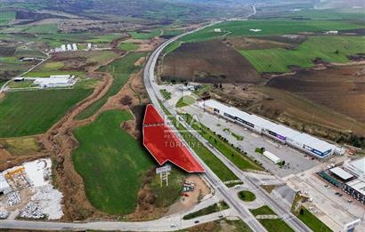 BALIKESİR SUSURLUK SULTANÇAYIR MH. SATILIK TARLA