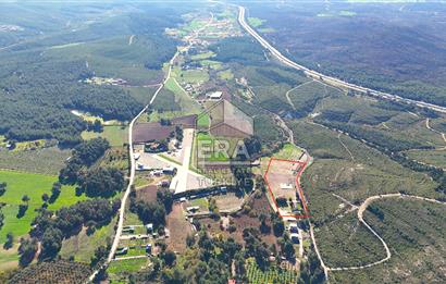 13 DÖNÜM ARAZİ - 500 M2 VİLLA - 17 AT BOX - 250 KW ENERJİ