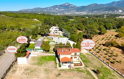 13 DÖNÜM ARAZİ - 500 M2 VİLLA - 17 AT BOX - 250 KW ENERJİ