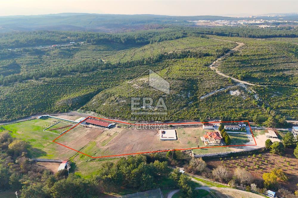 13 DÖNÜM ARAZİ - 500 M2 VİLLA - 17 AT BOX - 250 KW ENERJİ