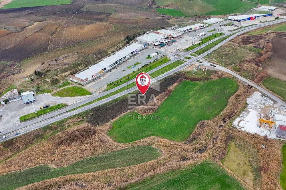 BALIKESİR SUSURLUK SULTANÇAYIR MH. SATILIK TARLA