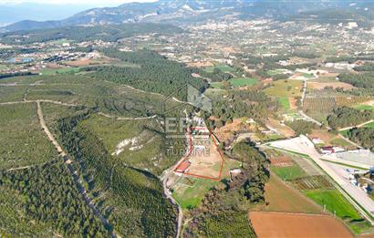 13 DÖNÜM ARAZİ - 500 M2 VİLLA - 17 AT BOX - 250 KW ENERJİ