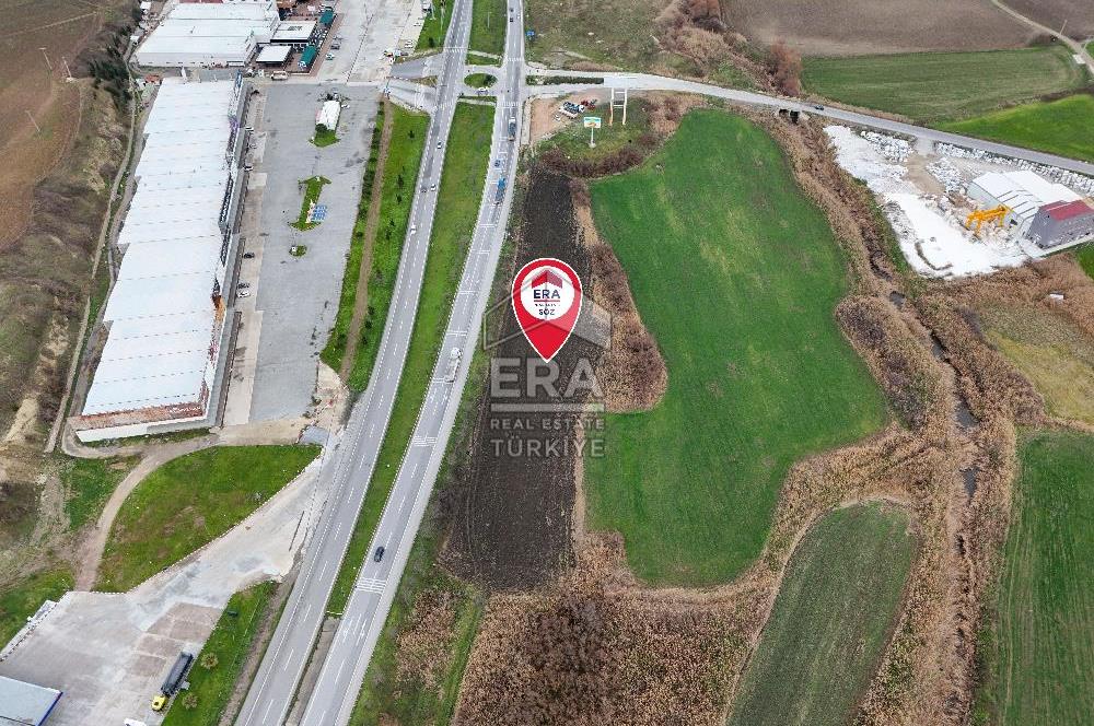 BALIKESİR SUSURLUK SULTANÇAYIR MH. SATILIK TARLA