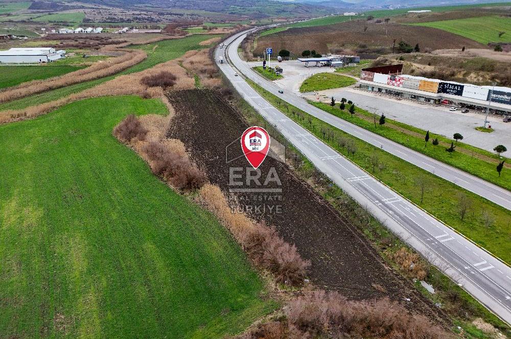 BALIKESİR SUSURLUK SULTANÇAYIR MH. SATILIK TARLA