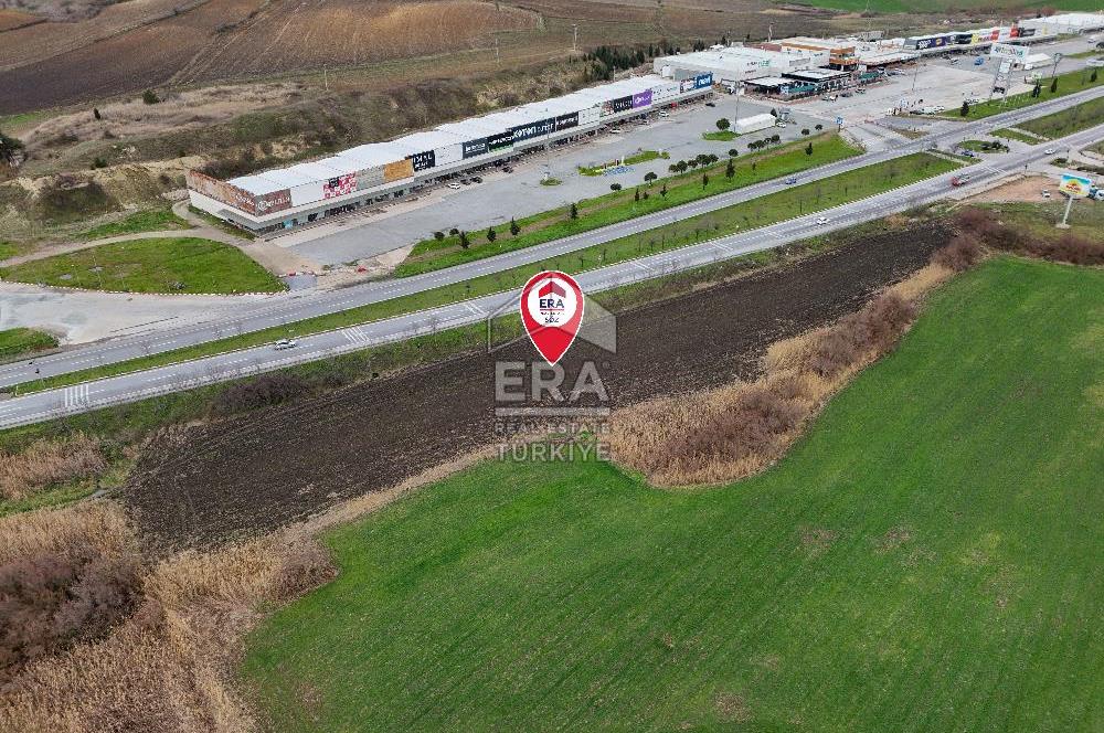 BALIKESİR SUSURLUK SULTANÇAYIR MH. SATILIK TARLA