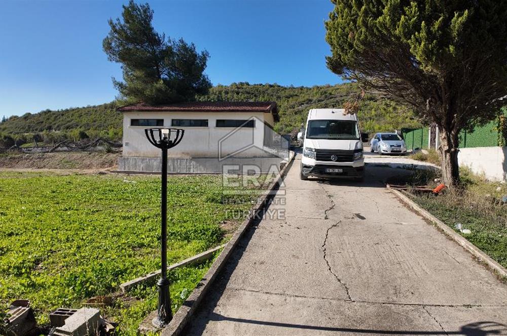 13 DÖNÜM ARAZİ - 500 M2 VİLLA - 17 AT BOX - 250 KW ENERJİ