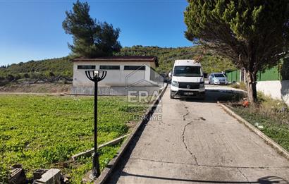 13 DÖNÜM ARAZİ - 500 M2 VİLLA - 17 AT BOX - 250 KW ENERJİ