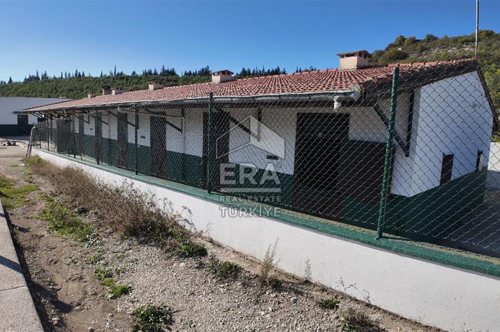 13 DÖNÜM ARAZİ - 500 M2 VİLLA - 17 AT BOX - 250 KW ENERJİ