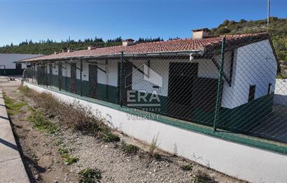 13 DÖNÜM ARAZİ - 500 M2 VİLLA - 17 AT BOX - 250 KW ENERJİ