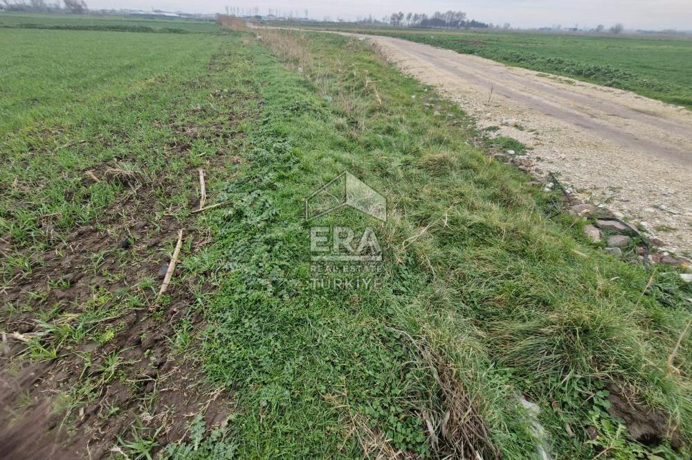 ERA PORT GÜVENCESİYLE YAKUPKÖY'DE SATILIK TARLA