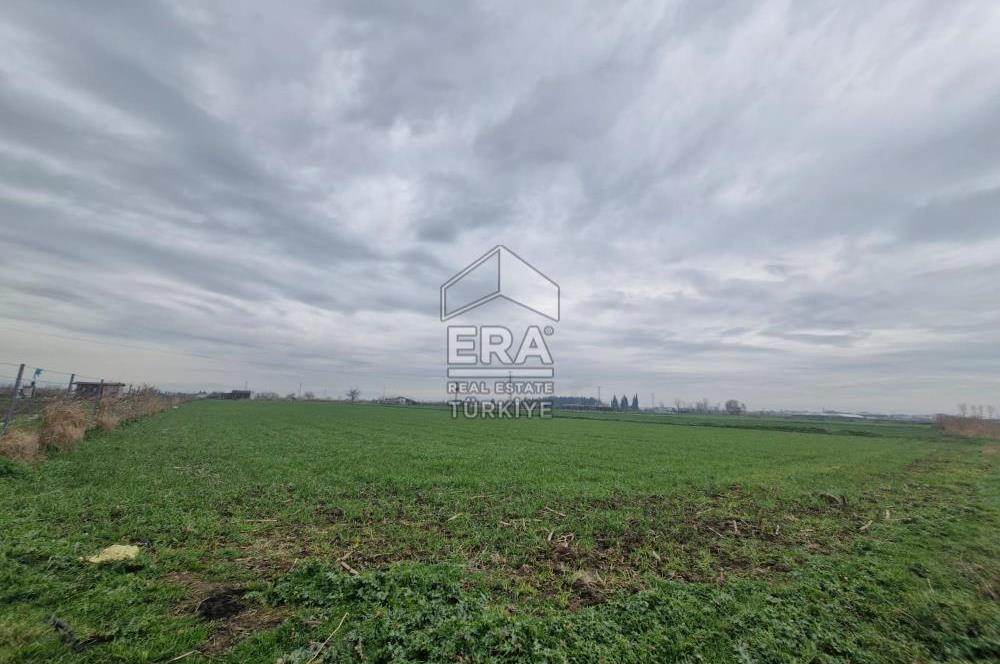 ERA PORT GÜVENCESİYLE YAKUPKÖY'DE SATILIK TARLA