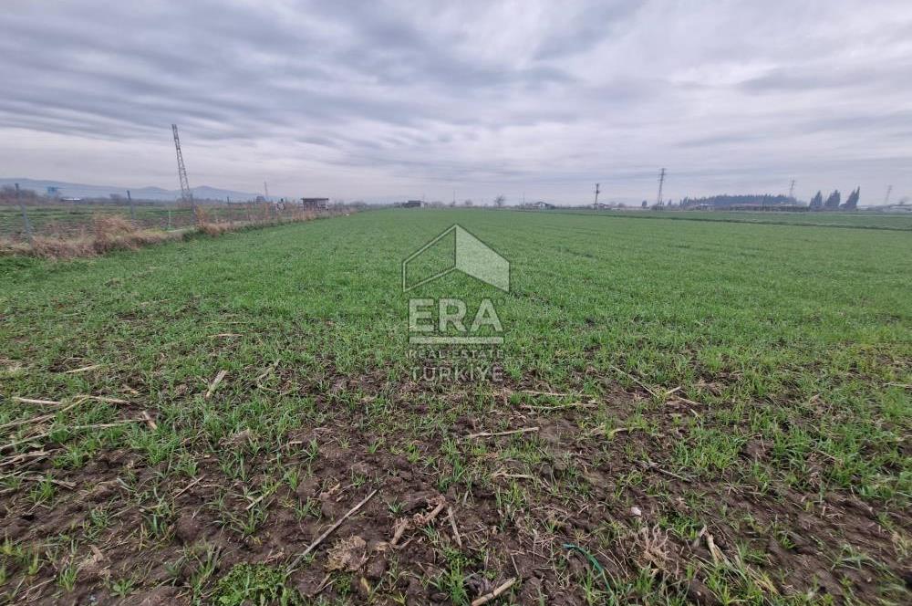 ERA PORT GÜVENCESİYLE YAKUPKÖY'DE SATILIK TARLA